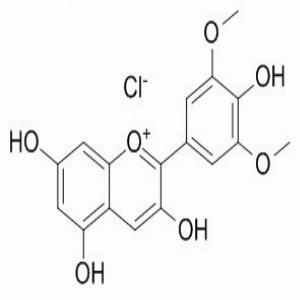 氯化锦葵素,Malvidin chloride