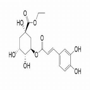 绿原酸乙酯,Ethyl chlorogenate