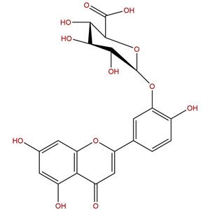 木犀草素-3'-葡萄糖醛酸苷，Luteolin-3'-D-glucuronide，53527-42-7