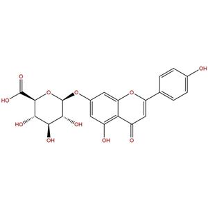 芹菜素-7-O-葡萄糖醛酸苷,Apigenin 7-glucuronide