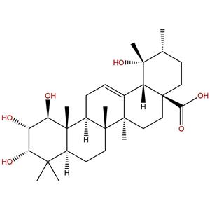 羟基野鸦椿酸，1β-Hydroxyeuscaphic acid，120211-98-5