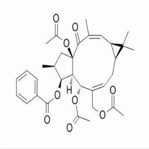 千金子素L7b，Euphorbia factor L7b，93550-95-9
