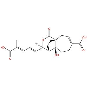 去甲基土荆皮丙酸,Demethylpseudolaric acid C