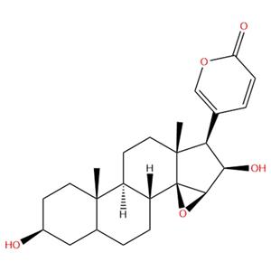 去乙酰华蟾毒精,Desacetylcinobufagin