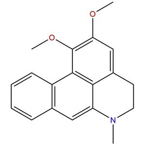 去氢荷叶碱，Dehydronuciferine，7630-74-2