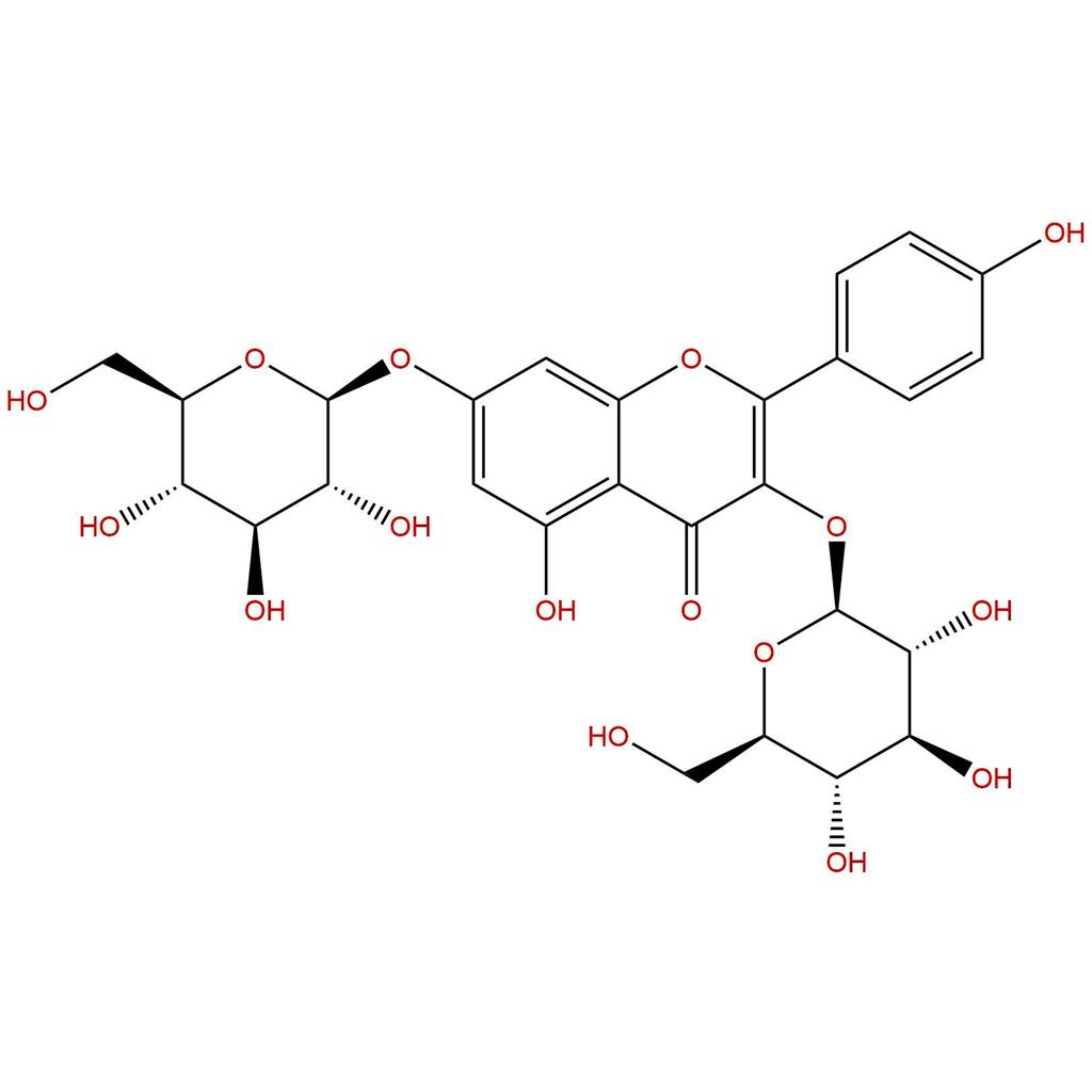 山柰酚-3,7-二-O-葡萄糖苷,Kaempferol 3,7-di-O-glucoside