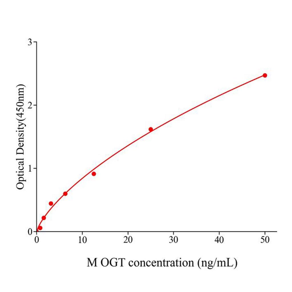 小鼠O-GlcNAc糖基转移酶(OGT) 酶联免疫试剂盒,Mouse OGT  ELISA KIT