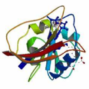 扑酸-鸡卵清白蛋白偶联物,Embonic Acid-OVA Conjugate