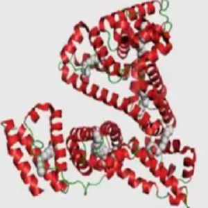 利凡诺-鸡卵清白蛋白偶联物,Ethacridine-OVA Conjugate