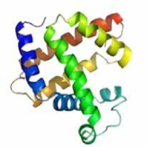 利凡诺-牛血清白蛋白偶联物,Ethacridine-BSA Conjugate