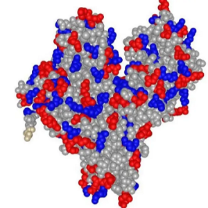 氟尼辛-牛血清白蛋白偶联物,Flunixin-BSA Conjugate