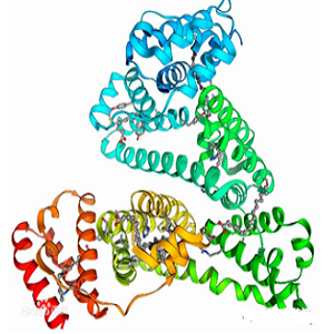 氨丙啉-牛血清白蛋白偶联物,Amprolium-BSA Conjugate