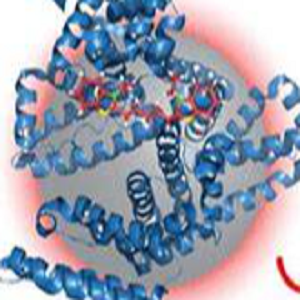 卡托普利-牛血清白蛋白偶联物,Captopril-BSA Conjugate