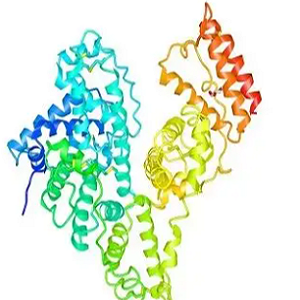 阿米舒必利-鸡卵清白蛋白偶联物,Amisulpride-OVA Conjugate