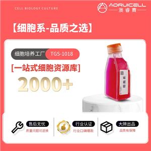 5637（人膀胱癌细胞）