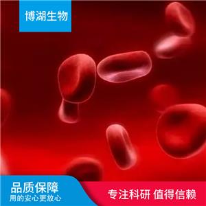 HCC2218人乳腺癌细胞,HCC2218