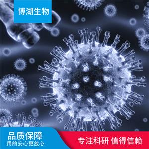 CCD-1069Sk人乳腺浸润性导管癌旁皮肤细胞,CCD-1069Sk