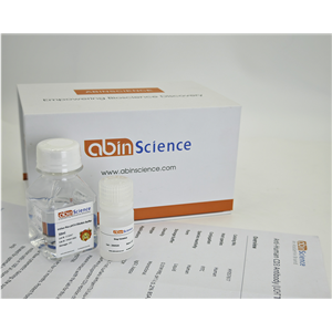 重组蜜蜂 Api m 4/蜂毒肽蛋白，N端-His-SUMO标签,Recombinant Honeybee Api m 4/Melittin Protein, N-His-SUMO