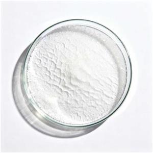 6-氨基青霉烷酸,6-AMinopenicillanic acid