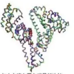 氨丙啉-鸡卵清白蛋白偶联物,Amprolium-OVA Conjugate
