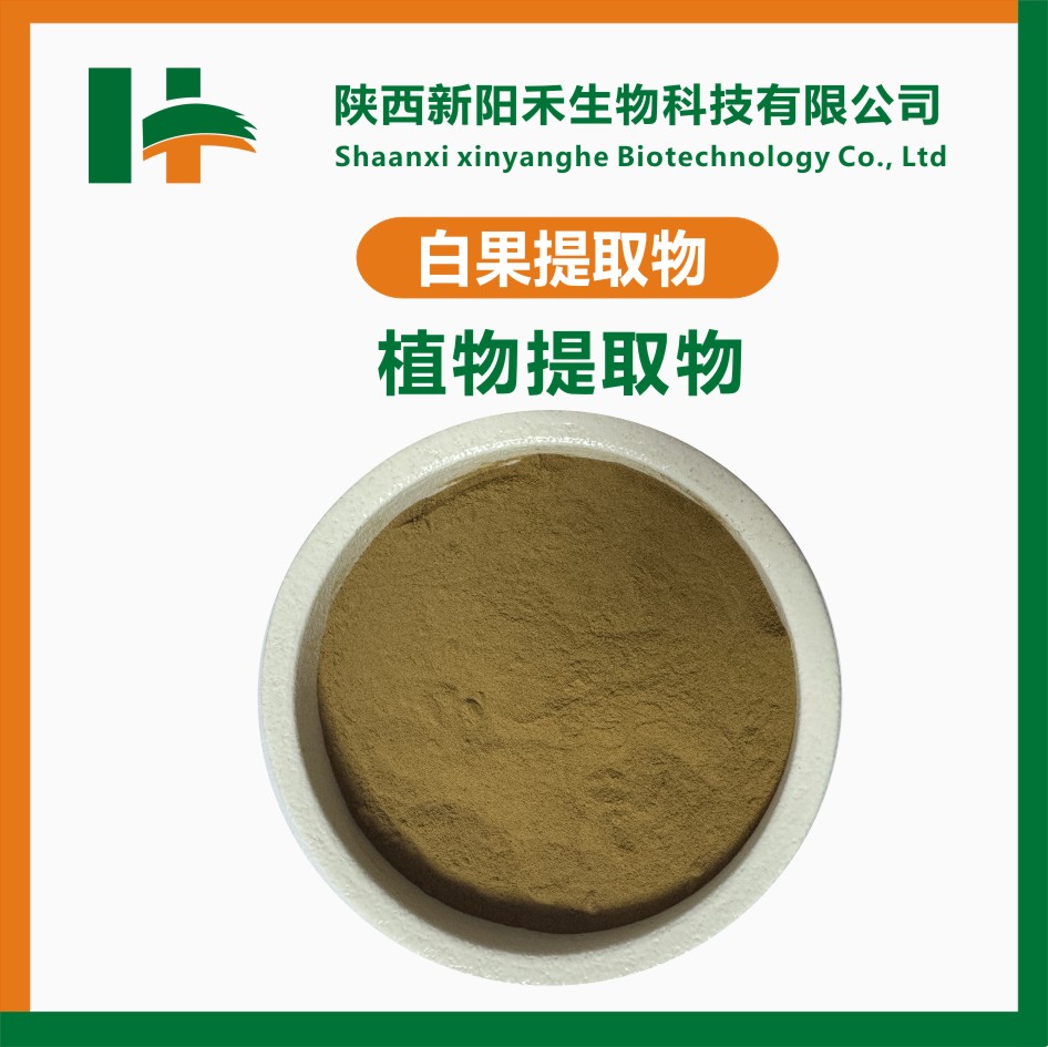 白果提取物,Ginkgo biloba extract