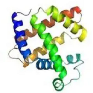 金刚烷胺-牛血清白蛋白偶联物,Adamantylamine-BSA Conjugate