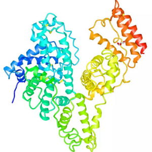 替米沙坦-牛血清白蛋白偶联物,Telmisartan-BSA Conjugate