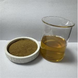白果提取物,Ginkgo biloba extract