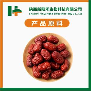 大枣提取物,Jujube extract