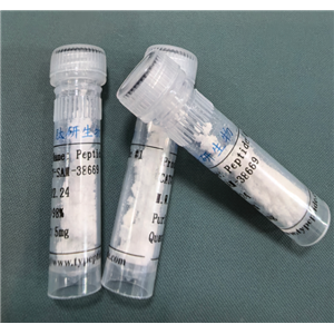 心脏靶向肽CTP,CTP