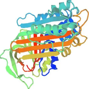 Telmisartan-OVA Conjugate，替米沙坦-鸡卵清白蛋白偶联物