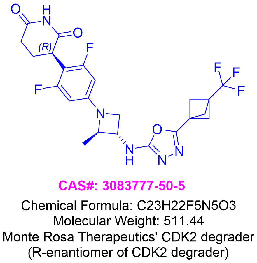 (R)-CDK2 degrader of compound 139,(R)-3-(2,6-difluoro-4-((2R,3S)-2-methyl-3-((5-(3-(trifluoromethyl)bicyclo[1.1.1]pentan-1-yl)-1,3,4-oxadiazol-2-yl)amino)azetidin-1-yl)phenyl)piperidine-2,6-dione
