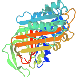 野黄芩苷-鸡卵清白蛋白偶联物,Scutellarin-OVA Conjugate