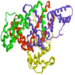 甘氨鹅去氧胆酸-鸡卵清白蛋白偶联物,GCDCA-OVA