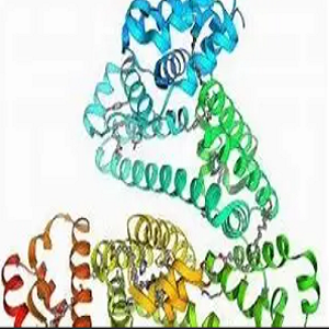 鹅去氧胆酸-鸡卵清白蛋白偶联物,CDCA-OVA