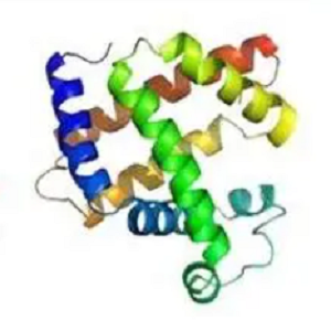 石胆酸-鸡卵清白蛋白偶联物,LCA-OVA