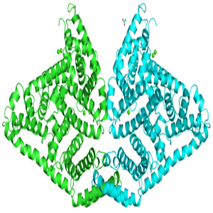 石胆酸-牛血清白蛋白偶联物,LCA-BSA