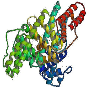 Loganic Acid-OVA Conjugate，马钱苷酸-鸡卵清白蛋白偶联物