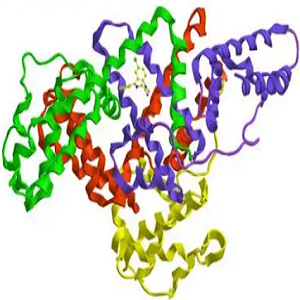 Loganic Acid-BSA Conjugate，马钱苷酸-牛血清白蛋白偶联物