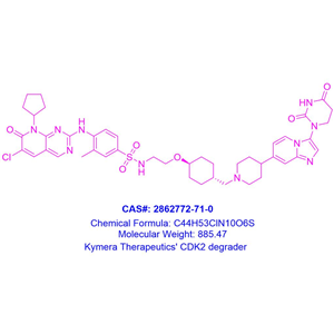 Kymera Therapeutics' CDK2 Heterobifunctional Degraders