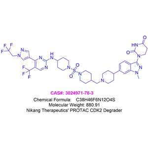 Nikang Therapeutics' CDK2 degrader 3024971-78-3