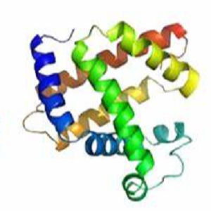 磺胺多辛-鸡卵清白蛋白偶联物,Sulfadoxine-Ovalbumin Conjugate