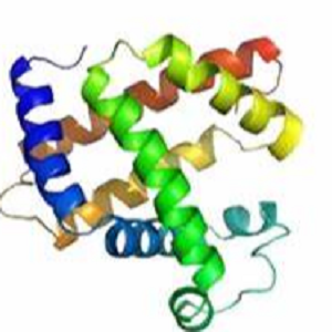 沙拉沙星-鸡卵清白蛋白偶联物,Sarafloxacin-Ovalbumin Conjugate