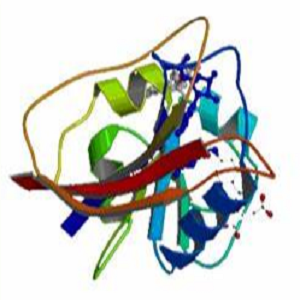 丹酚酸B-鸡卵清白蛋白偶联物,Salvianolic Acid B-OVA Conjugate