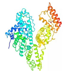 丹酚酸A-鸡卵清白蛋白偶联物,Salvianolic Acid A-OVA Conjugate