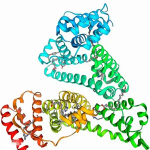 丹酚酸A-牛血清白蛋白偶联物,Salvianolic Acid A-BSA Conjugate