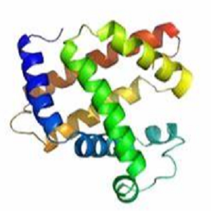甘草酸-牛血清白蛋白偶联物,Glycyrrhizic Acid-BSA Conjugate