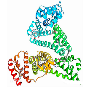 胆酸-鸡卵清白蛋白偶联物,Cholate-OVA