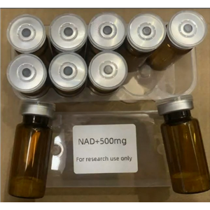 烟酰胺腺嘌呤二核苷酸,Nicotinamide Adenine Dinucleotide