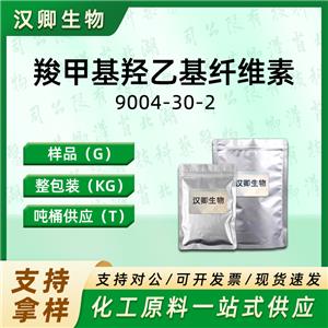 羧甲基羟乙基纤维素,CARBOXYMETHYL HYDROXYETHYLCELLULOSE